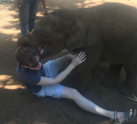 Me being eaten by an elephant